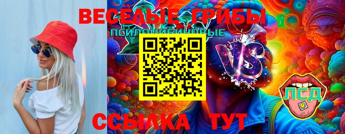 Галлюциногенные грибы Magic Shrooms  Вход с VPN  Ртищево  Псилоцибиновые грибы мухоморы 