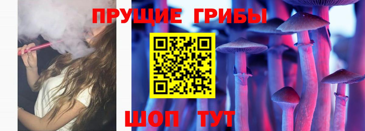 Псилоцибиновые грибы ЛСД Ртищево